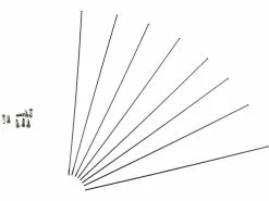 Fulcrum Rayons Red Power 29 àpd Modèle 2015