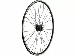 SON Roue Delux + CXP Pro + Sapim Race 28"