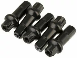 Dt-swiss Écrous En Aluminium Pro Lock® Squorx Pro Head® 2,0 Mm - 5 Pièces