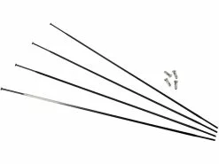 Campagnolo® Rayons Zonda Modèles 2013-2016