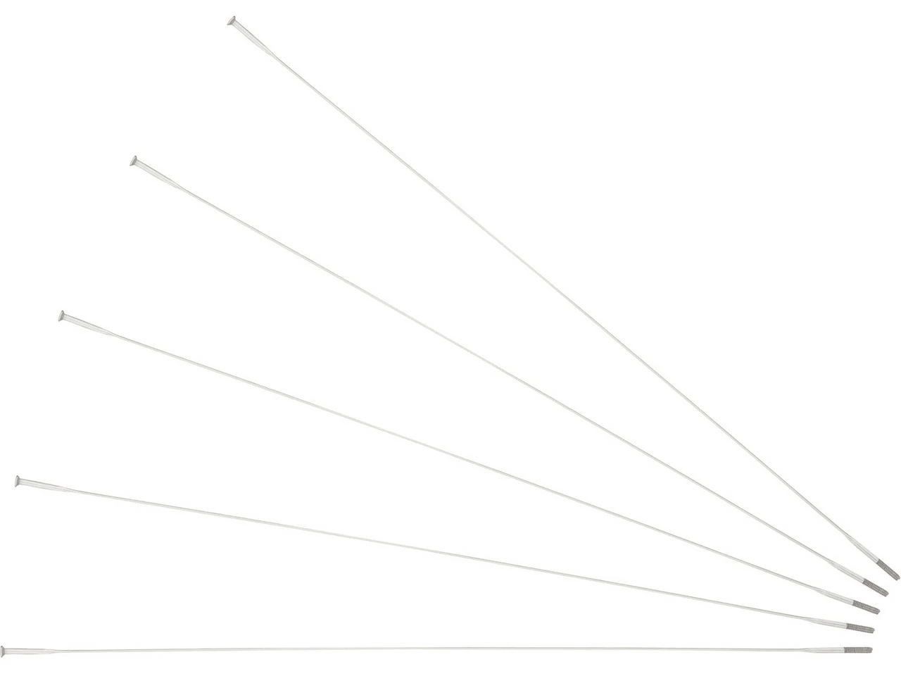 Sapim Rayons CX-Ray Straightpull + Écrous - 5 Pièces 6 Sapim Rayons CX-Ray Straightpull + Écrous - 5 Pièces – Image 6